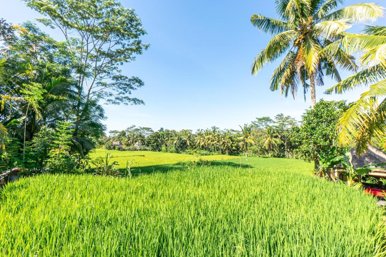 Rouge - Private Villa Passion Ubud Zewnętrze zdjęcie